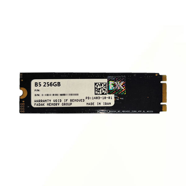 اس اس دی اف دی کی مدل FDK M.2 B5 256GB - Image 2