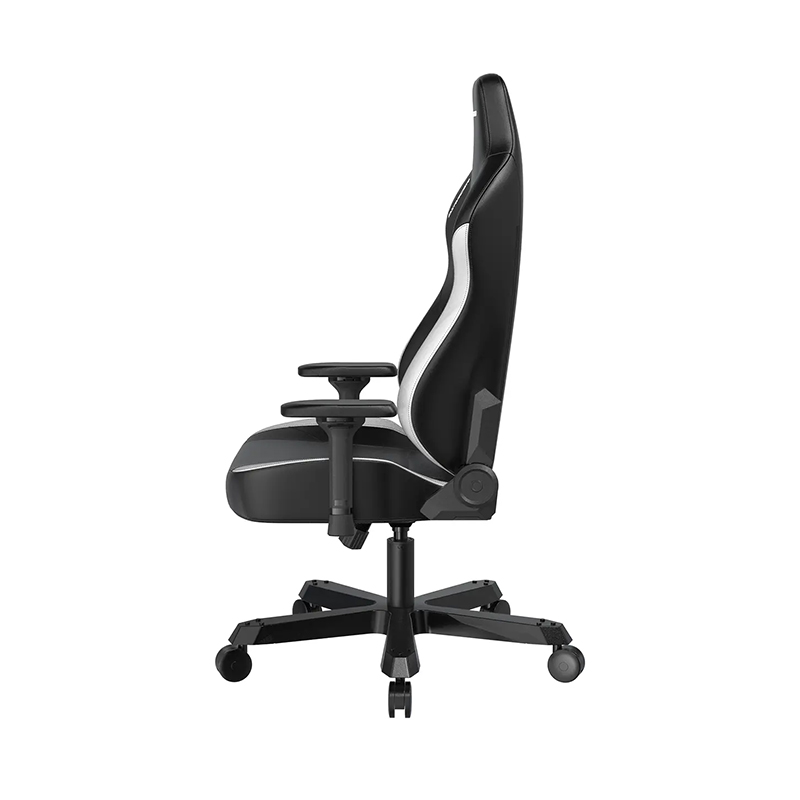 صندلی گیمینگ دی ایکس ریسر مدل DXRacer Tank Series 2025 Black White - Image 6